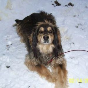 Meet your Posher, Kim